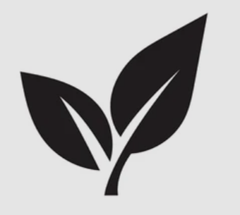 United Wings Enterprise Inc.